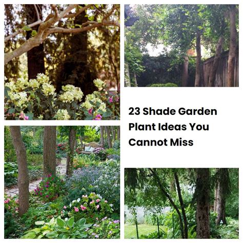 23 Shade Garden Plant Ideas You Cannot Miss Sharonsable