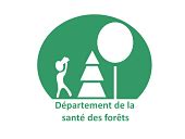 Bilan de la santé des forêts en 2021 dans le Nord Ouest de la France