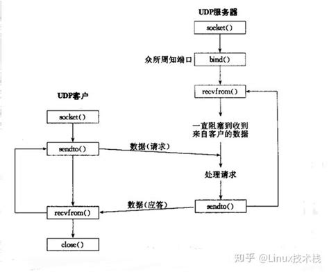 Socket套接字详解（tcp与udp） 知乎