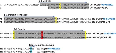 Annotated Hla‐dqb1 Amino Acid Sequence Alignment Showing Novel Download Scientific Diagram