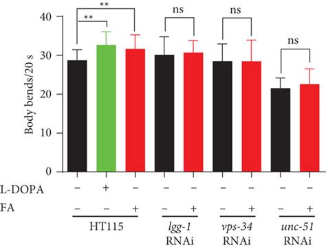 Fa Inhibits Synuclein Pathology In Nl Worms Via Autophagy