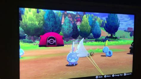 Shiny Sobble After 455 Eggs Pokemon Sword YouTube