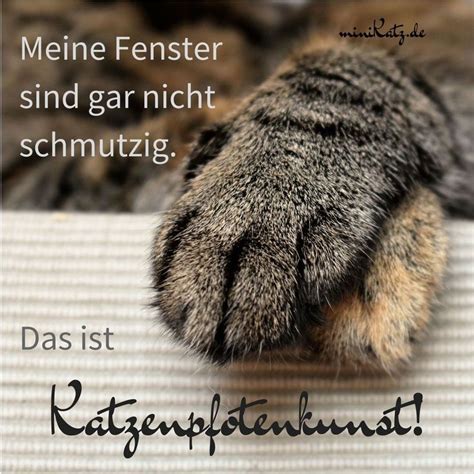 Pin Auf Katzen Katzen Zitate Katzen Katzen Pfoten