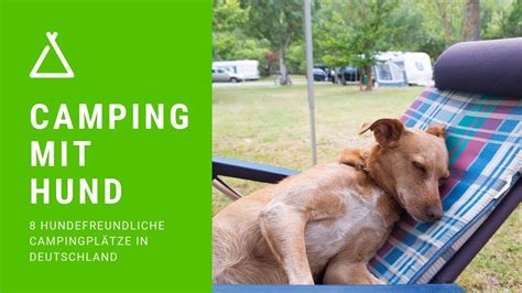 Camping Mit Hund Hundefreundliche Campingpl Tze In Deutschland