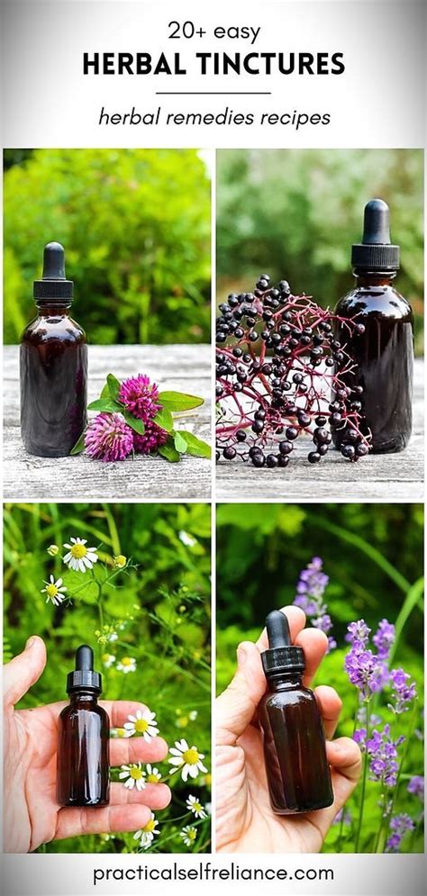 Herbal Tincture Recipes For Homemade Herbal Medicine Artofit