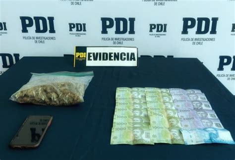 Pdi Incauta Encomienda Con Cannabis En Llanquihue Diario Digital El Calbucano