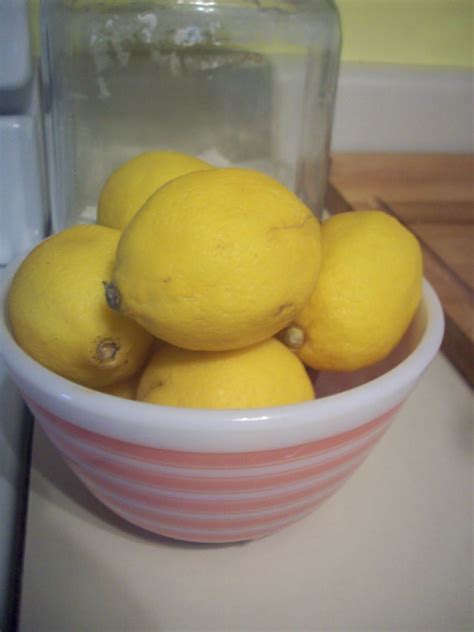 Hopeabound A Bowl Full Of Lemons