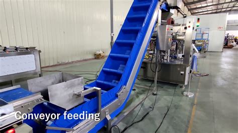 Fish Fillet Premade Bag Rotary Packing Line Head Linear Combination