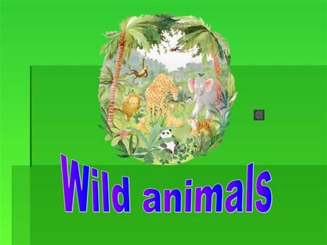 Wild Animals | PPT