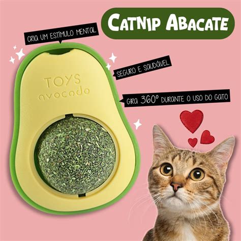 Brinquedo Catnip Abacate Interativo E Relaxante Para Gatos