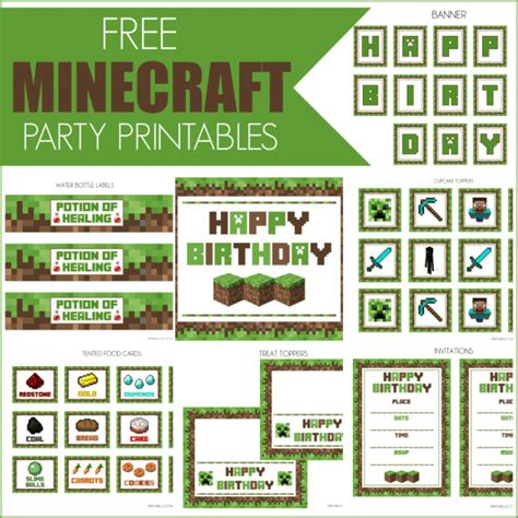 7 Things You Must Have at Your Minecraft Party | Catch My Party