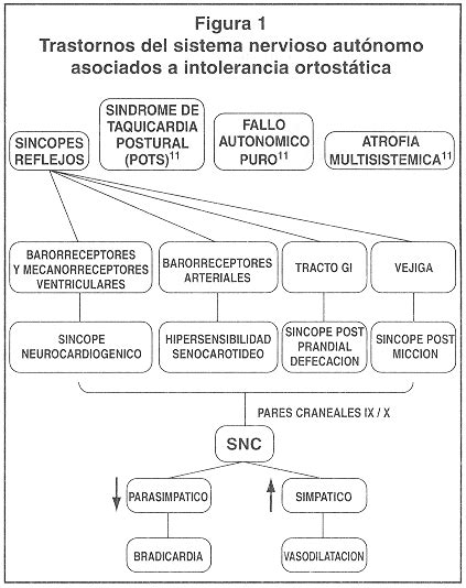 Síncope Neurocardiogénico