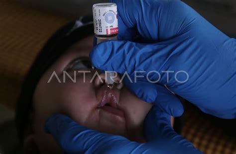 Program Posyandu Deteksi Dini Stunting Di Ternate ANTARA Foto