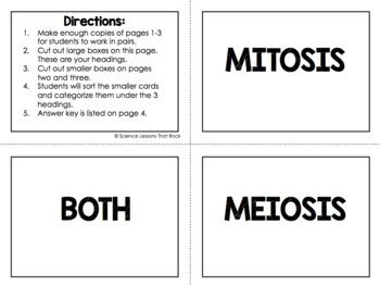 Cell Division Mitosis And Meiosis Card Sorting Activity TPT