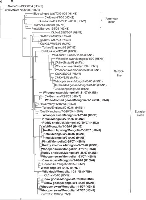 Figure A1 Continued Phylogenetic Trees Of The Inner Genes A Pb2