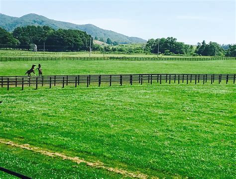 フジテレビ競馬 On Twitter 【みんなのkeiba 7月23日日 午後3時】 小澤アナがブログ「よーこそ！keiba」をupし