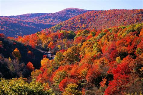 Updated Fall Foliage Report For The Nc Mountains Smokey Mountains