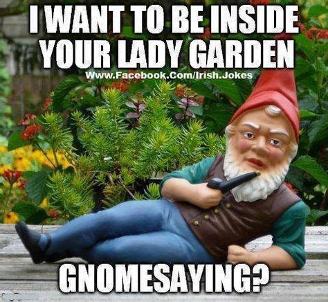 164 best Gnome Memes: Funny Gnomes images on Pinterest | Funny gnomes ...