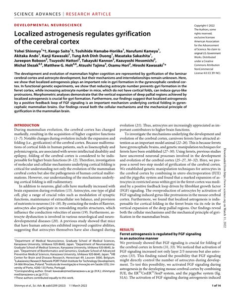 Pdf Localized Astrogenesis Regulates Gyrification Of The Cerebral Cortex