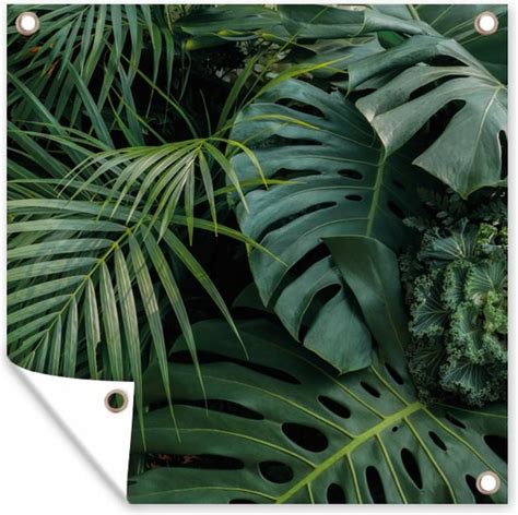 Tuin Poster Planten Jungle Bladeren Tropisch 200x200 Cm Bol