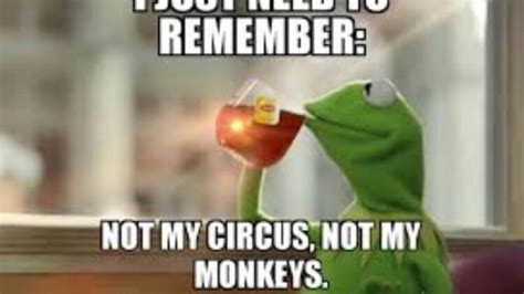 20 Not My Circus Not My Monkeys Meme Examples