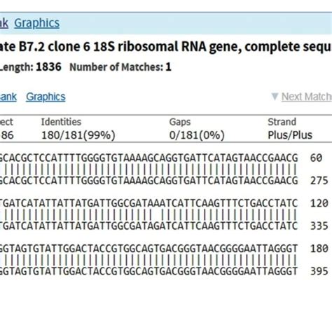 Dna Sequence Alignment Of 18s Rrna Gene In Isolated S Hominis Like