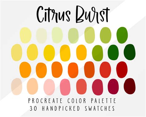 Citrus Procreate Color Palette Color Swatches Procreate Etsy