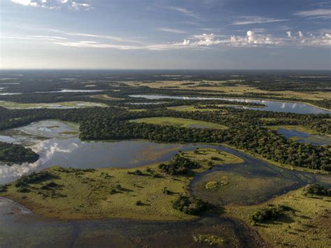 Pantanal | Places | WWF