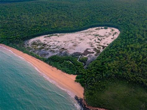 Your Ultimate Guide To The Tiwi Islands Australian Traveller