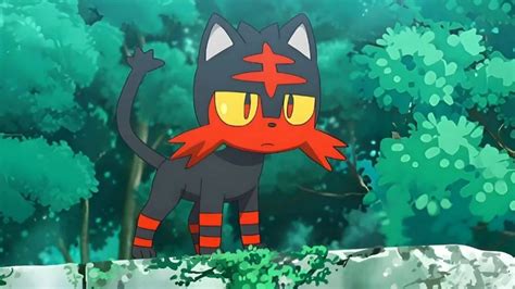 ¿cómo Conseguir A Litten En Pokémon Go Evolution Y Puede Ser Brillante