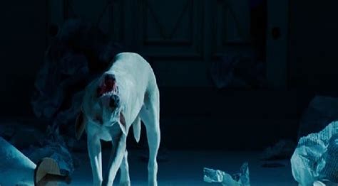 Cinema Freaks: REVIEW: The Unborn (2009)