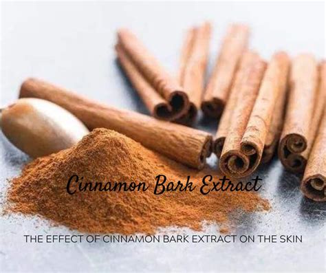 What Is The Effect Of Cinnamon Bark Extract Blog Quality Herb