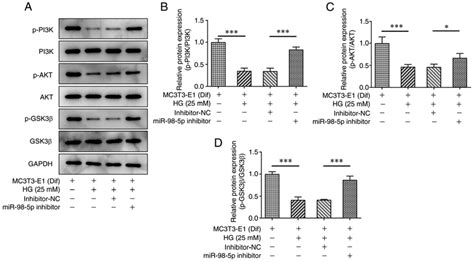 Inhibition Of Mir 98 5p Activates The Pi3kaktgsk3β Signaling Pathway