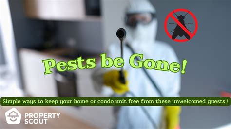 Pests Be Gone Keeping Your Condo Unit Free Of Pests