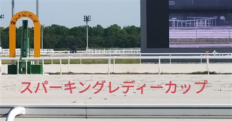 スパーキングレディーカップ予想 連日黒字達成川崎競馬 この馬券で勝負 期待 ｜キングクリ