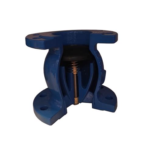 ANSI Ductile Iron SS304 Flanged End Foot Valve Ball Valve Check Valve