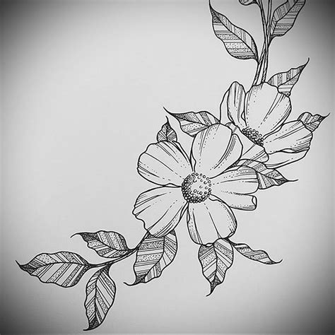 тату эскизы "Цветы" - VeAn Tattoo