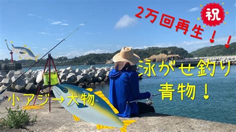 初心者が泳がせ釣りでカンパチを釣ったよ！引きがヤバイ！【堤防釣り】【宮城県】 Youtube