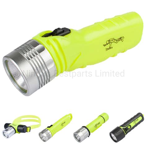 Battery Powered Torch Lamp Portable Waterproof Ipx8 LED Torch Light