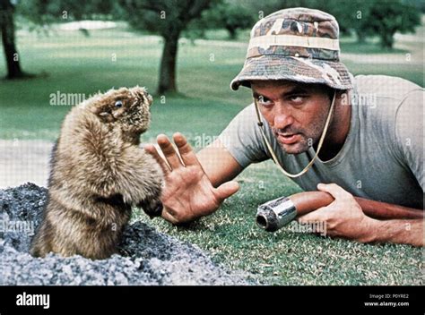 Caddyshack bill murray hi-res stock photography and images - Alamy