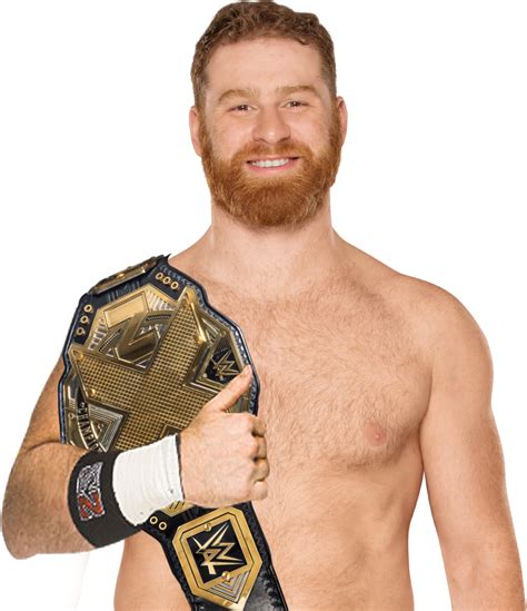 Sami Zayn NXT Champion 2017 by JoseBryan-28 on DeviantArt