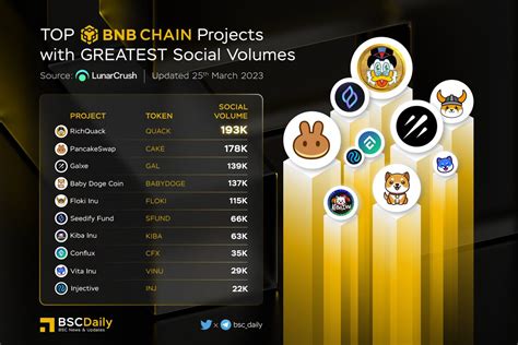 BSCDaily On Twitter Top BNBCHAIN Projects Capturing The Greatest