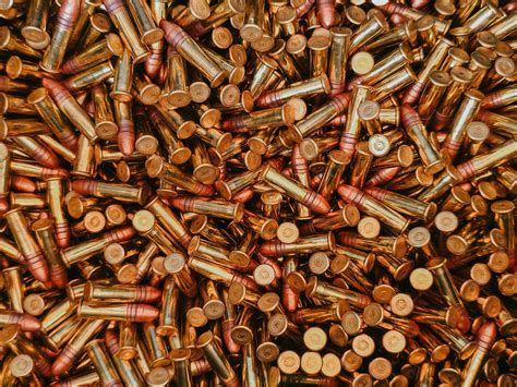 Deadly Palm Beach Gun Club Incident Sparks Justice as Gun Club Member Faces Jail Time 11