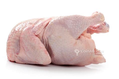 Alimentation Poulets de chair au Sénégal CoinAfrique Sénégal