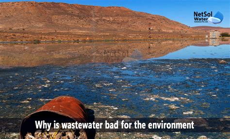 How Harmful To The Environment Is Wastewater