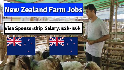 New Zealand Farm Jobs With Visa Sponsorship Apply Now