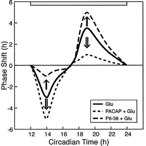 A Schematic Depiction Of The Stimulus Response Relationships For