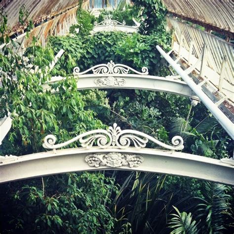 Kew Gardens Victorian Greenhouse Interior Photo of Plants & the Ornate ...