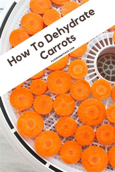 How To Dehydrate Carrots For Long Term Storage