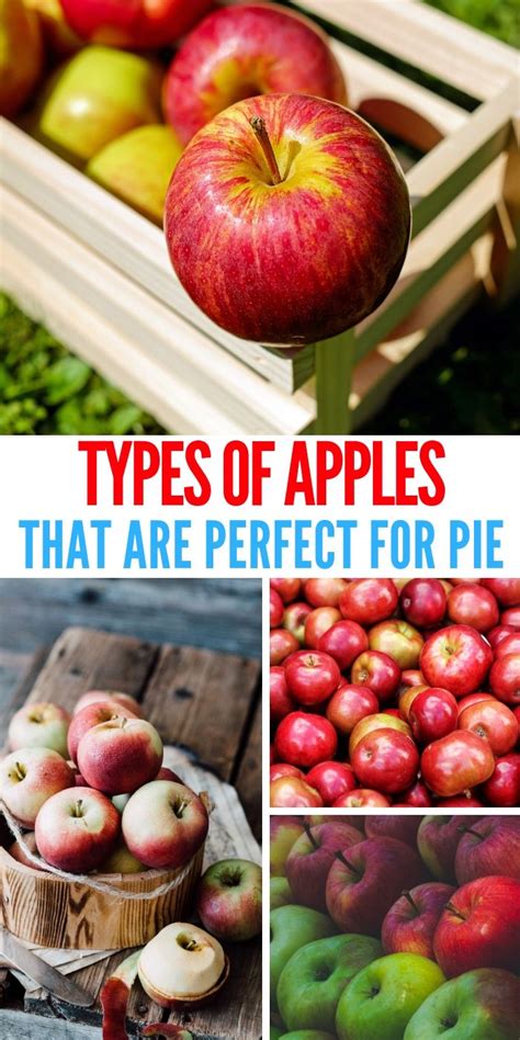 Ultimate Guide To The Best Apples For Baking Top Varieties For Pies